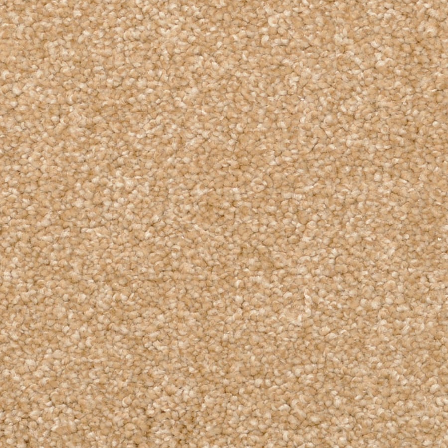 STAINMASTER 6369-509 Excursion PetProtect Quincy Frieze Carpet Sample