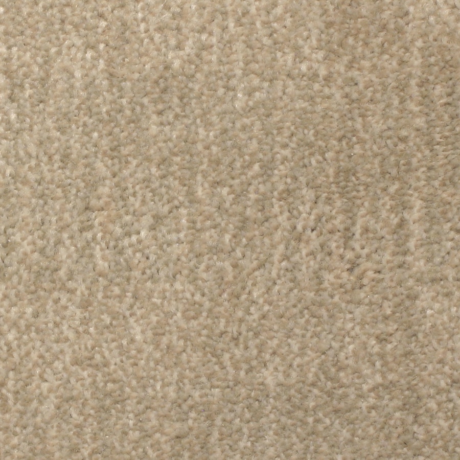 STAINMASTER S7236-103-1200-AB Pilot Point Petprotect Bay View Cut and Loop Carpet Sample