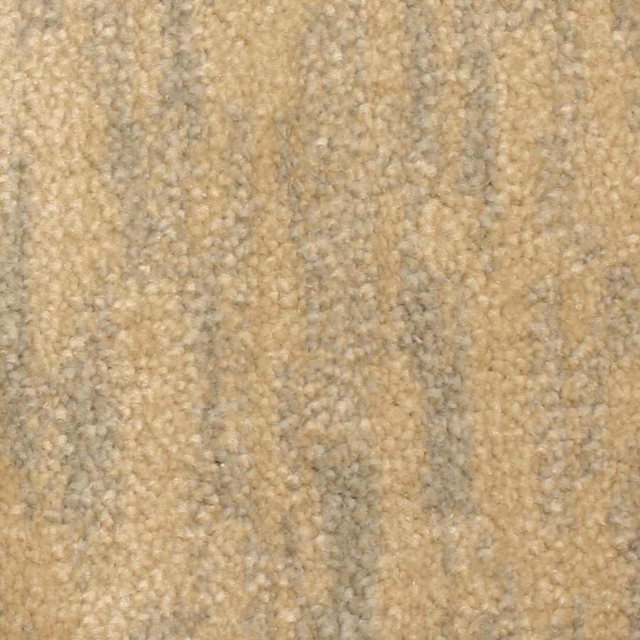 STAINMASTER S7736-301-1200-AB Grays Harbor Petprotect Anchor Cut and Loop Carpet Sample