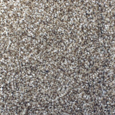 Stainmaster Petprotect Briarcliffe Hills Dazzling Carpet Stainmaster Petprotect Briarcliffe Hills Dazzling Carpet