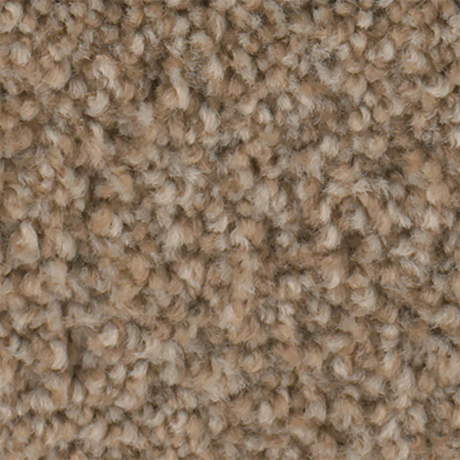STAINMASTER Wade Pool II Active Family Beige Glow Plus Carpet Sample at ...
