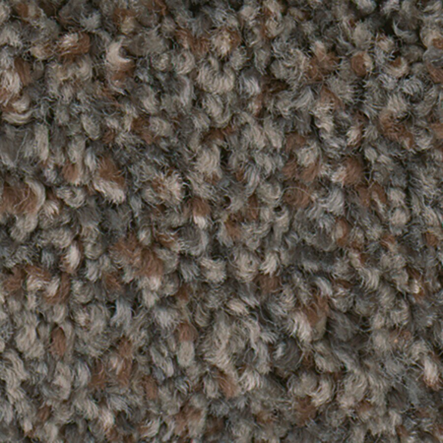 Stainmaster Active Family Splash City Ii Aluminum Bat Carpet Sample Stainmaster Active Family Splash City Ii Aluminum Bat Carpet Sample