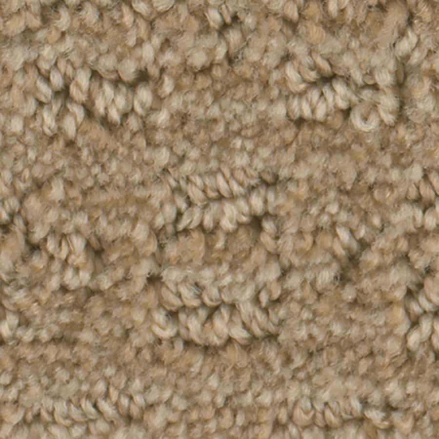 STAINMASTER 7L70900700 Splash Town Active Family Ale Cut and Loop Carpet Sample
