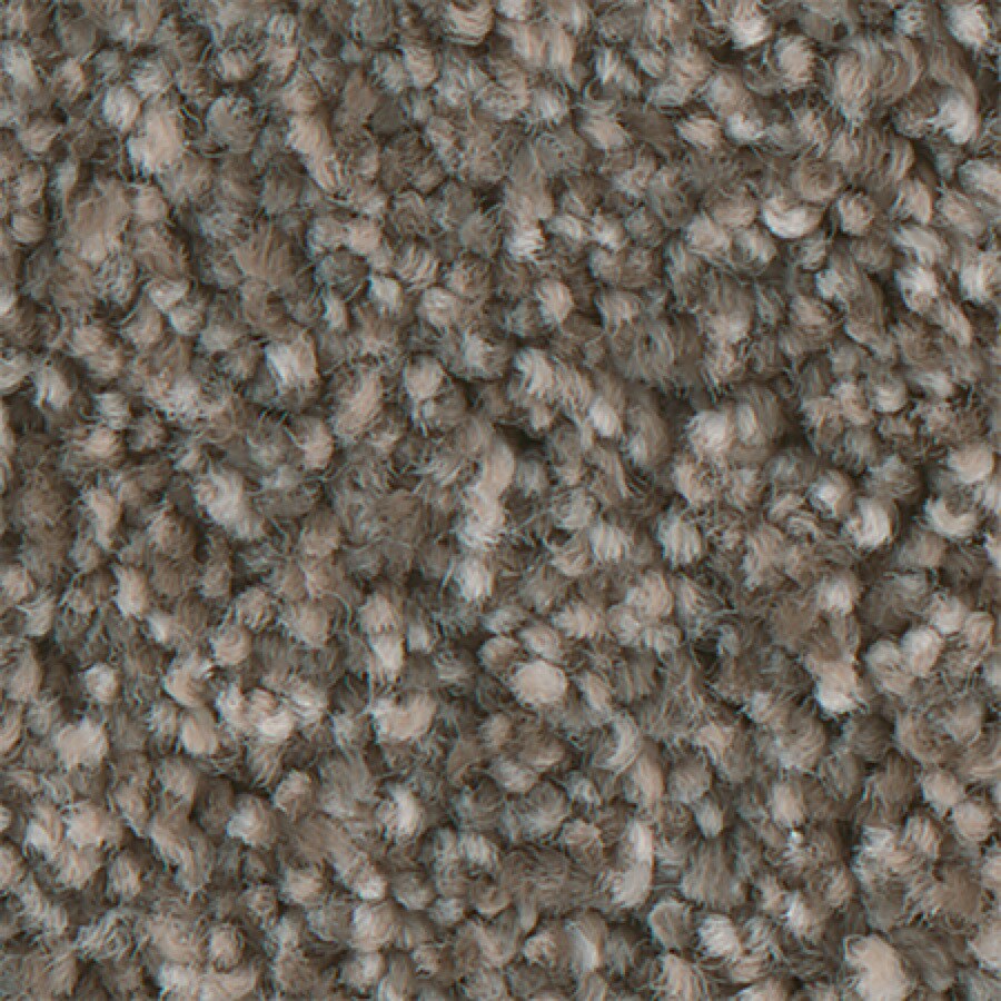 Stainmaster Petprotect Mineral Bay I Pelican Carpet Sample At Stainmaster Petprotect Mineral Bay I Pelican Carpet Sample