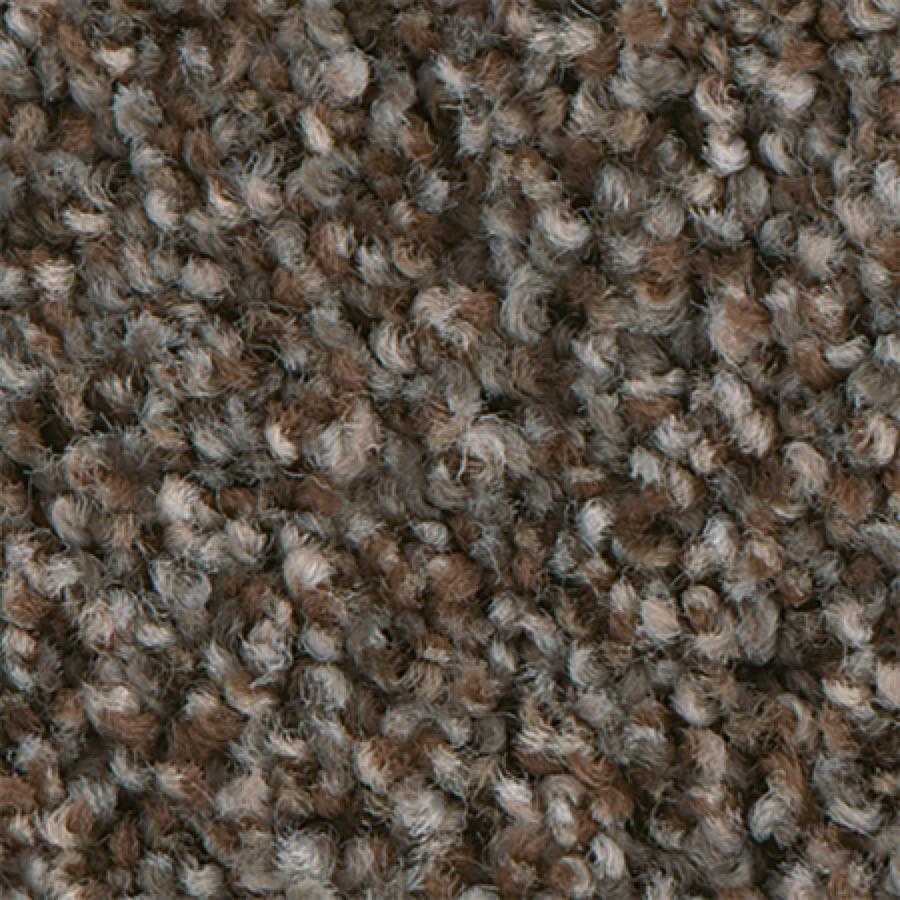 60 Top Pictures Best Carpet For Pets Lowes : Pet Resistant Carpet Lowes | Floor Matttroy