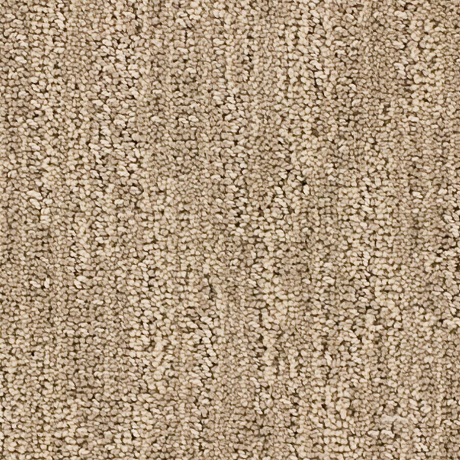 STAINMASTER L2035-4590-1200-A3 Imagination Essentials Serenity Plus Carpet Sample