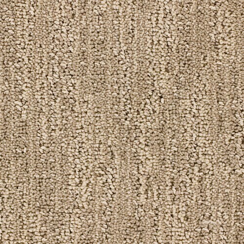 STAINMASTER Imagination Essentials Serenity Plus Carpet Sample at