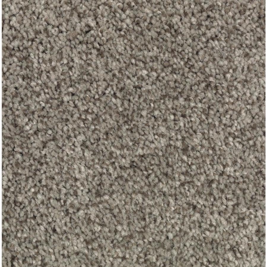 STAINMASTER Essentials Tonal Design Perfect Taupe Carpet Sample at