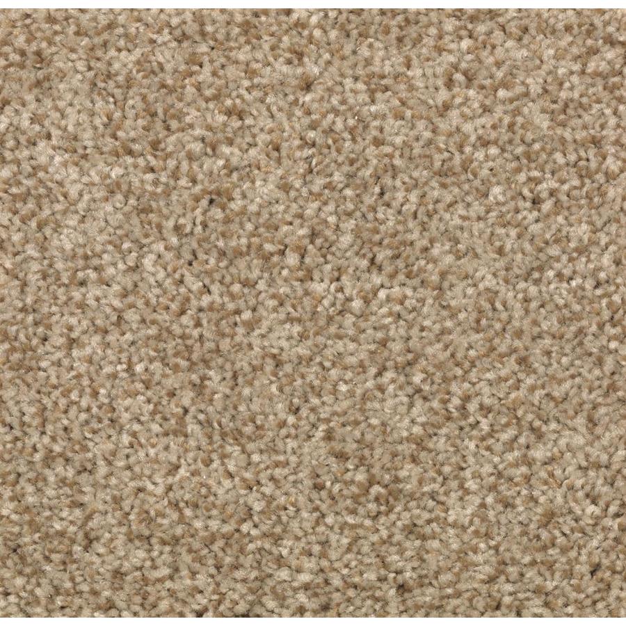 STAINMASTER Essentials Tonal Design Amber Dawn Carpet Sample at Lowes.com