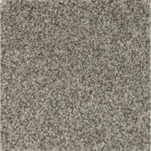 STAINMASTER Essentials Tonal Look Perfect Taupe Carpet Sample at Lowes.com