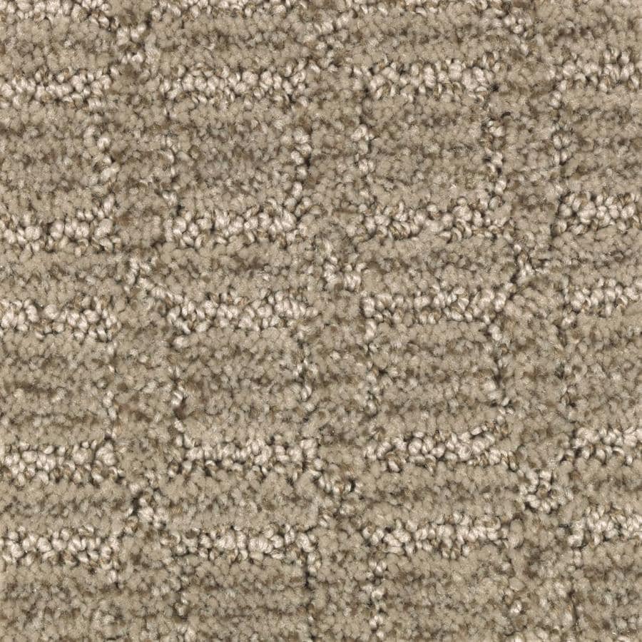 STAINMASTER Essentials Fashion Walk Soothing Neutral ...