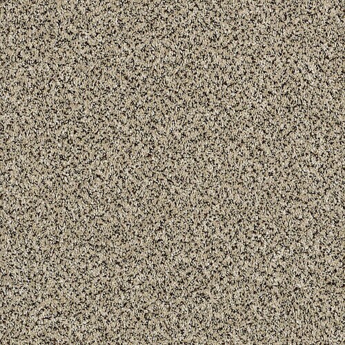 STAINMASTER Essentials Palacial I Ivory Coast Carpet Sample at Lowes.com