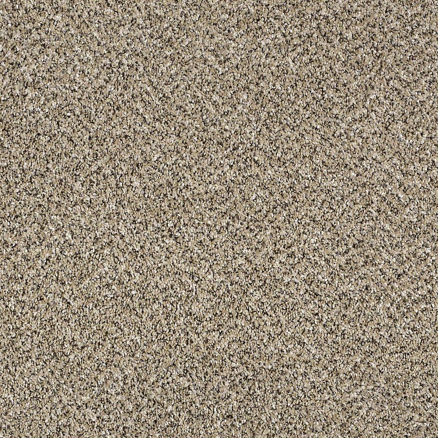 STAINMASTER Essentials Palacial II Sea Shell Carpet Sample at Lowes.com