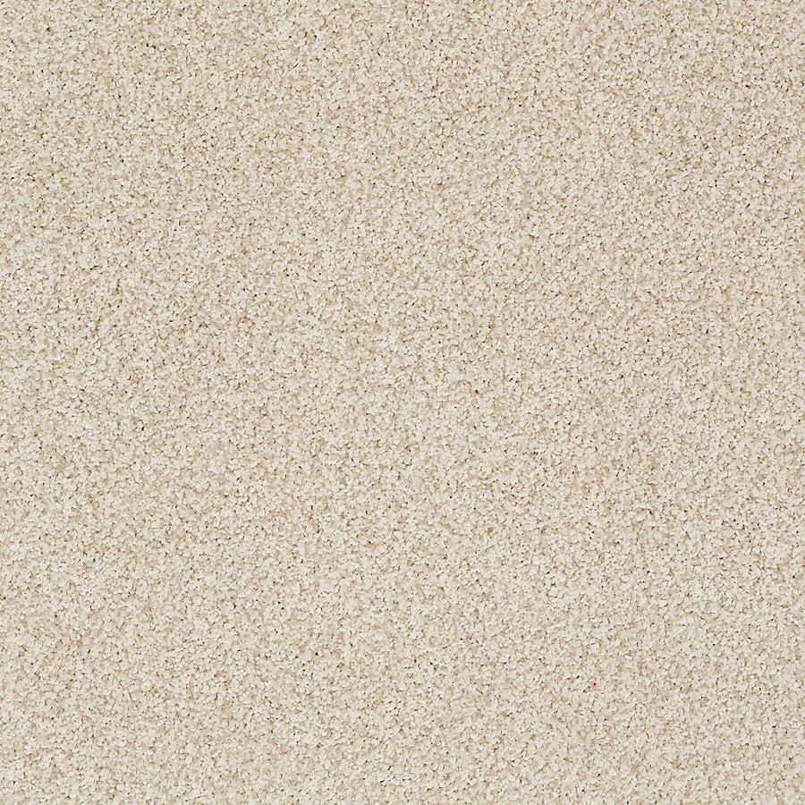 STAINMASTER TruSoft Advanced Beauty II Candle Light Carpet Sample at