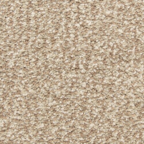 STAINMASTER LiveWell Festivity Sandalwood Carpet Sample at Lowes.com