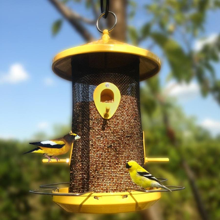 Garden Treasures Yellow Black Steel Hanging Tube Bird Feeder At Lowes.com