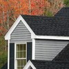 Georgia Pacific Comp Vinyl Siding Panel Double 4 Traditional 1 More