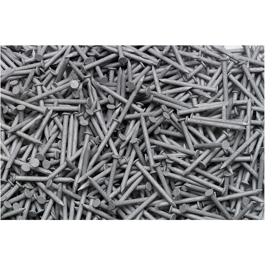 Georgia-Pacific 1-1/4-in 15-Gauge Coated Stainless Steel Siding Nails (1-lb)