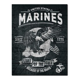 KH Sports Fan Frameless 16-in H x 16-in W Patriotic MDF Sign