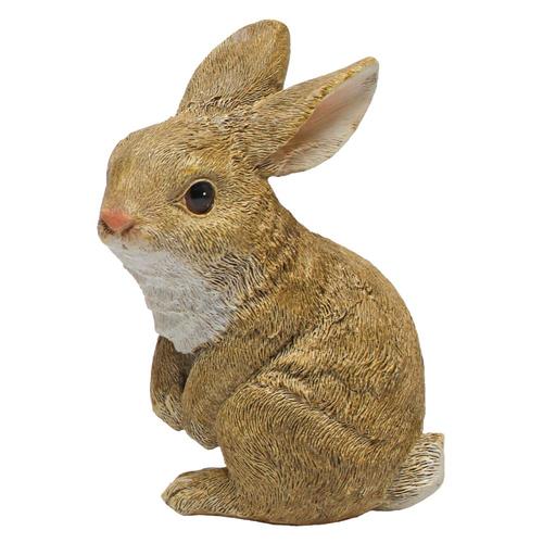 Design Toscano 3.5in H x 3.5in W Rabbit Garden Statue in the Garden Statues department at