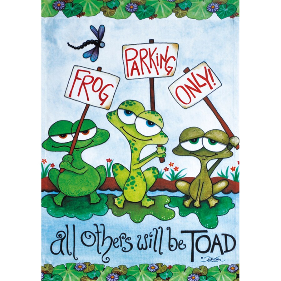 Rain or Shine 11-1853-148 Spring 2014 Flag