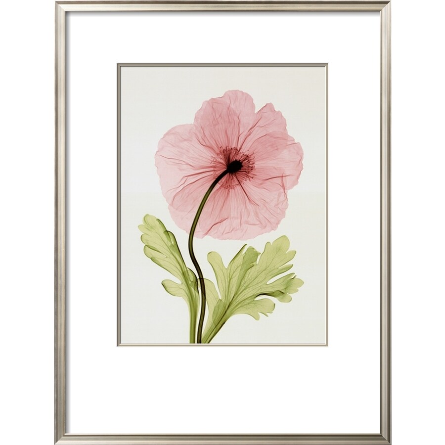 art.com 5191009 Photography Framed Art