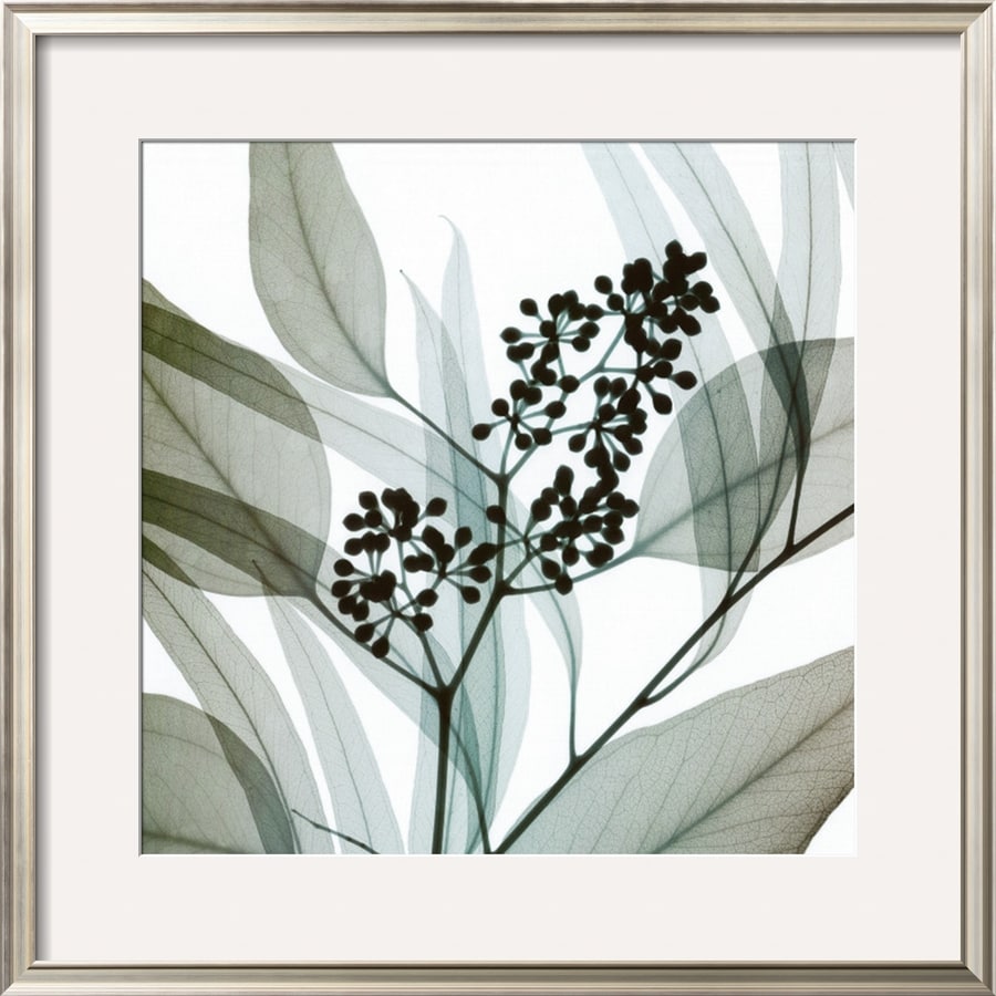 art.com 5339283 Photography Framed Art