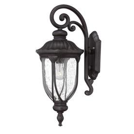 Acclaim Lighting Laurens 22.5-in H Black Coral Medium Base (E-26) Outdoor Wall Light