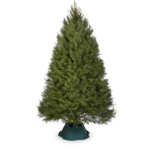 Lowes Real Christmas Trees 2021