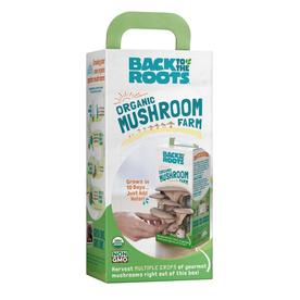 Back to the Roots Organic Mushroom Grow Kit Pearl Oyster Mushroom Discovery Edition