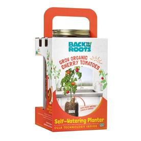 Organic Cherry Tomato Grow Kit - Back to the Roots