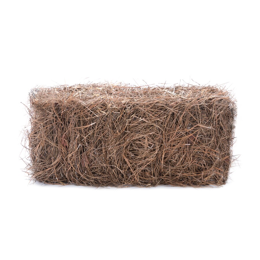 Long Leaf Pine Needles Up To 40 Sq Ft Coverage In The Pine Needles Straw Mulch Department At Lowes Com