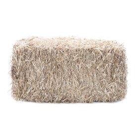 Pine Needles Straw Mulch At Lowes Wheat Straw
