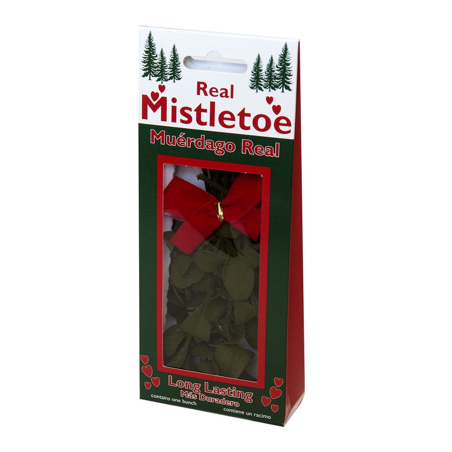 Enviro-Log 5701 Fresh Christmas Hanging Decoration