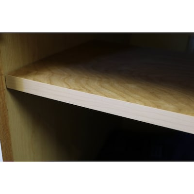 Surfaces 31 438 In W X 0 75 In H X 18 In D Cabinet Shelf Kit At