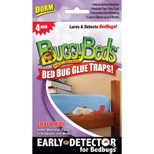 BuggyBeds Bed Bug 4Count Natural Glue Trap (4Pack) at