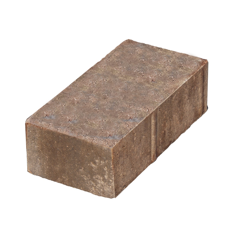 Holland Southwest blend Concrete Paver (Common: 4-in x; Actual: 3.78-in ...