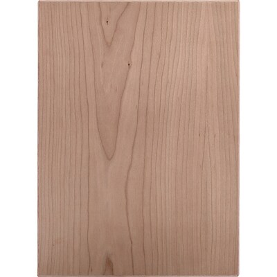 Surfaces 16 In W X 22 In H X 0 75 In D Cherry Base Cabinet Door At
