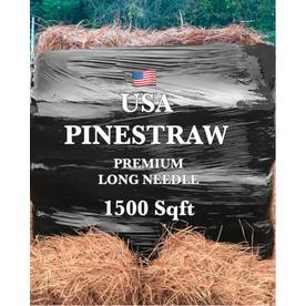 Pine Needles Straw Mulch At Lowes Long Leaf Pine Needles