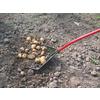 Root Assassin 59-in L Poly-Handle Poly Garden Rake at Lowes.com