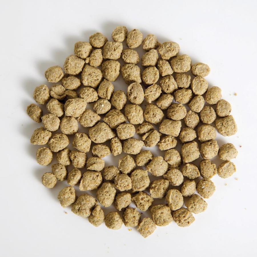 smartpond FFCE2  - View #3