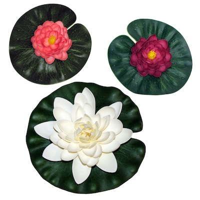 Smartpond Water Garden Pond Lilly Multipack At Lowes Com