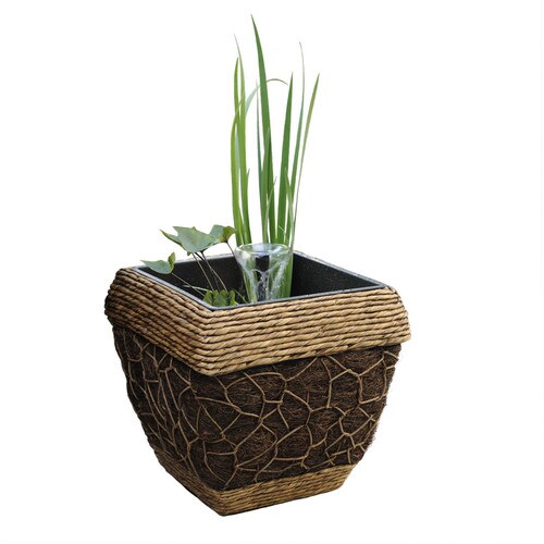 Smartpond Aquatic Garden Pond Kit at