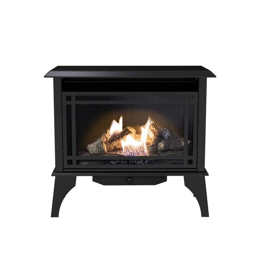 Pleasant Hearth 1,000-sq ft Dual-Burner Vent-Free Liquid Propane and Natural Gas Stove in the 