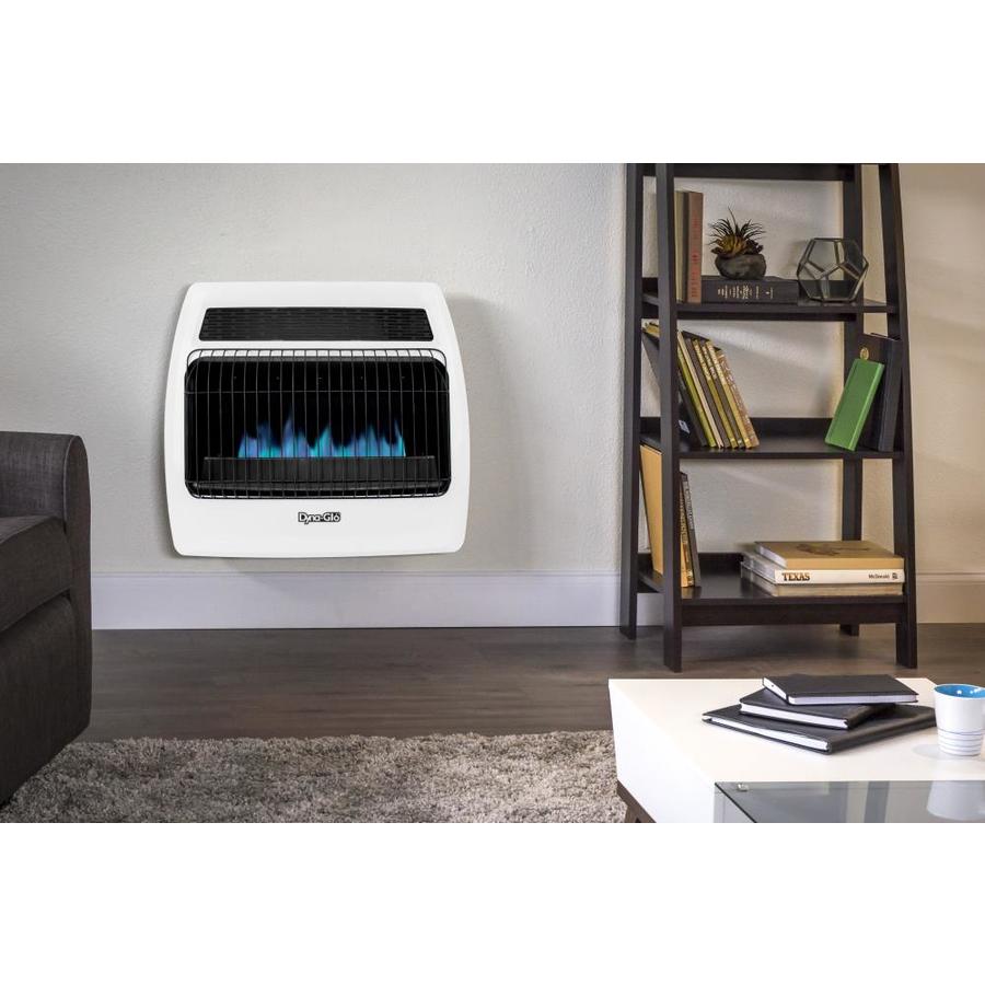 Dyna-Glo 30000-BTU Wall or Floor Mount Indoor Natural Gas or Liquid ...