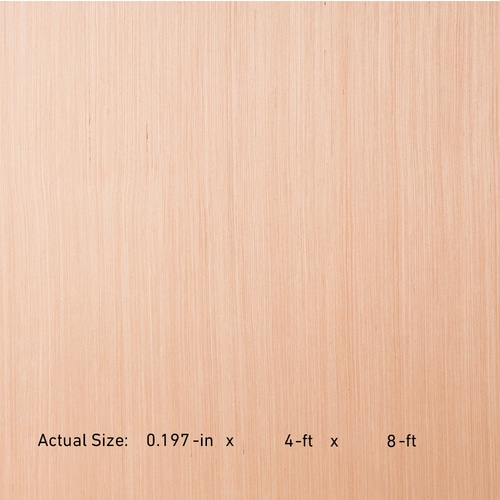 Revolutionply 5mm Poplar Plywood Application As 4 X 8 At Lowes Com