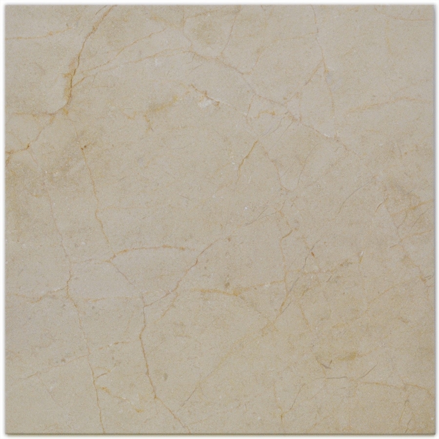 Big Pacific SOS CERAMIC TILE - BIG PACIFIC at Lowes.com