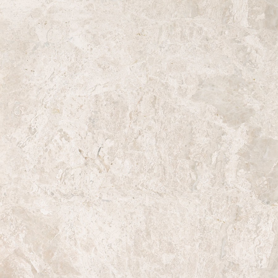 Shop Bermar Natural Stone Royal Beige Polished Marble Floor and Wall