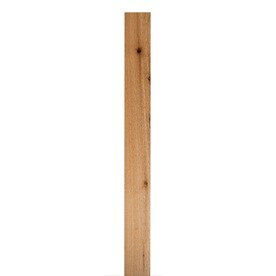 (Common: 1-in x 4-in x 12-ft; Actual: 0.6875-in x 3.5-in x 12-ft) Cedar Board