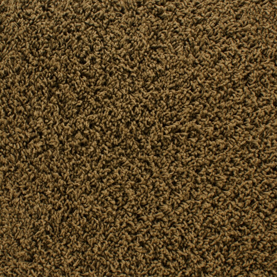 STAINMASTER Active Family Dorchester Brown Frieze Indoor Carpet in the